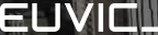 Logo Euvic Managed IT