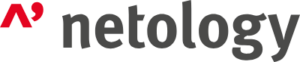 Logo Netology Managed Services
